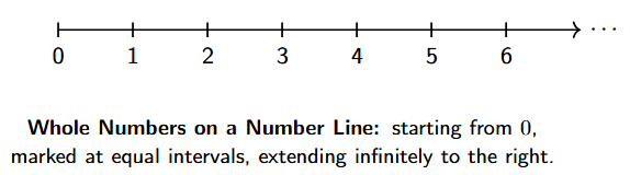 Whole Numbers on a Number Line A number line starting from 0 and extending to the right with an arrow. The points 0, 1, 2, 3, 4, 5, and 6 are marked at equal intervals.